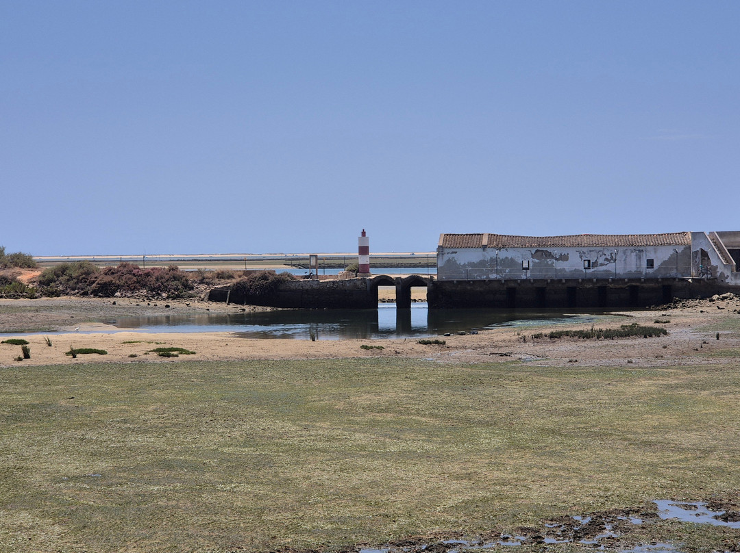 Ria Formosa Natural Park-奥良必去景点