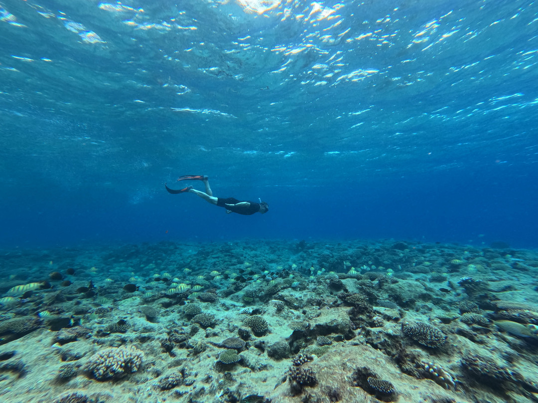 Explore Niue Island Tour-阿洛菲必去景点