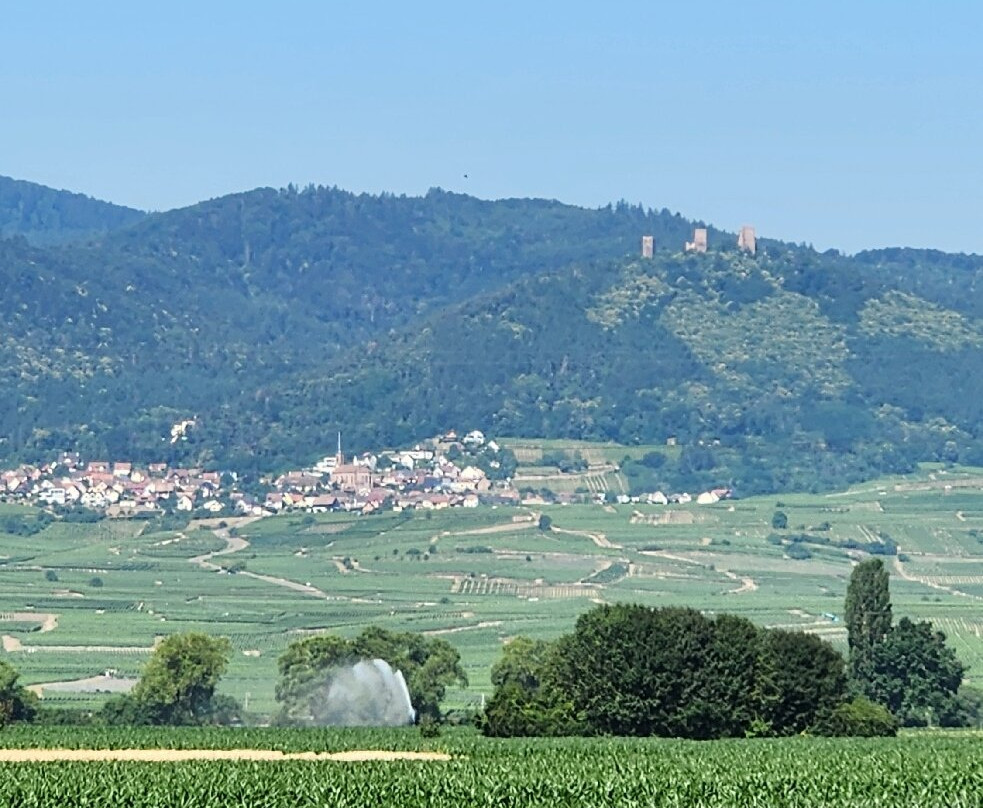 Colmar Bike Tours-科尔马必去景点