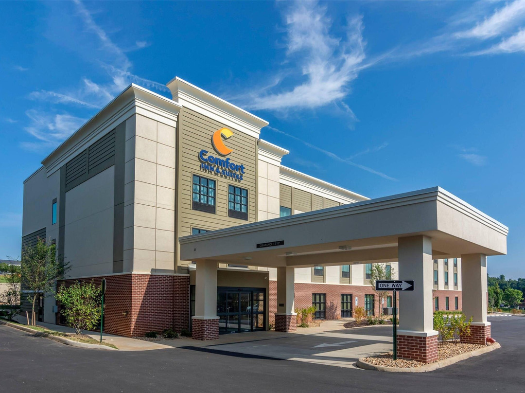 Stanardsville酒店住宿-Comfort Inn & Suites Charlottesville