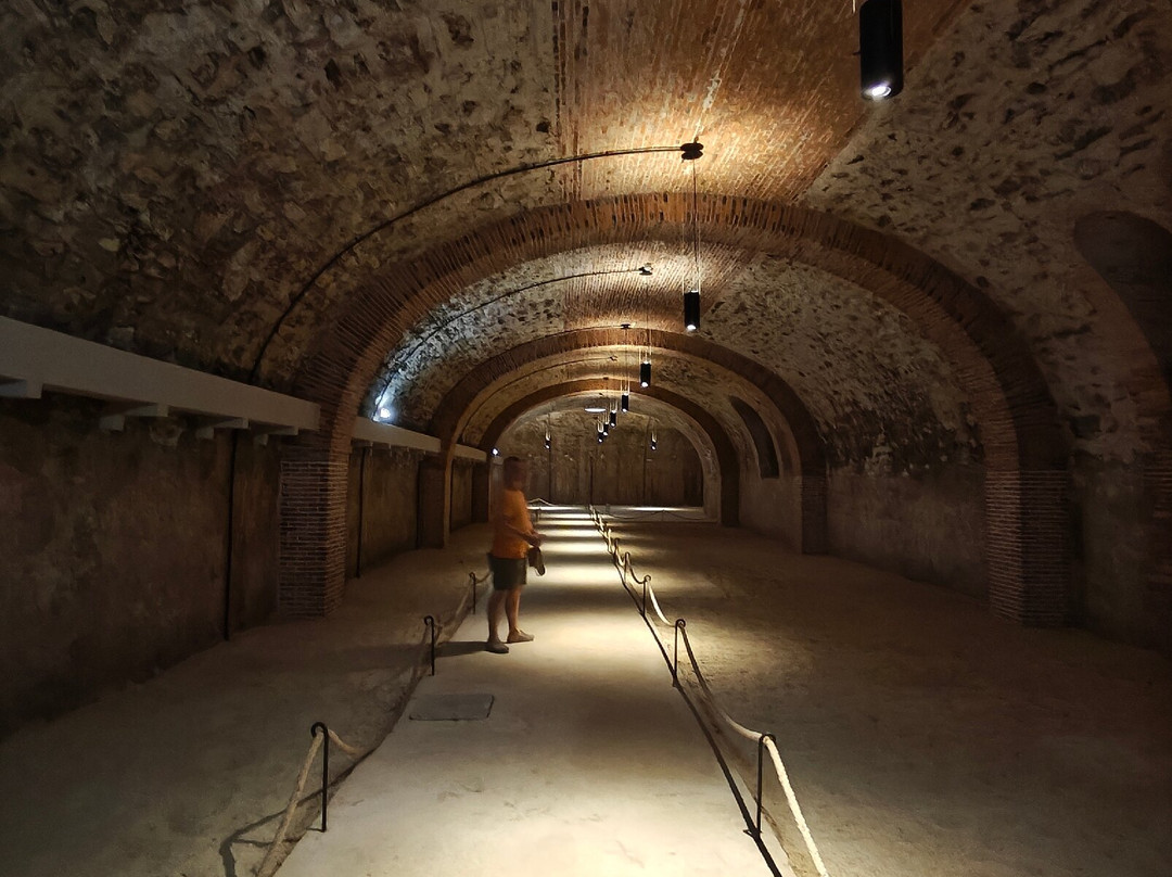 Musée du vin de Champagne et d'Archéologie régionale-埃佩尔内必去景点