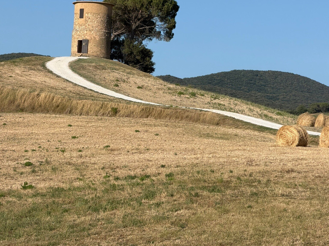 Guardistallo旅游景点-Mulino Del Cardellino