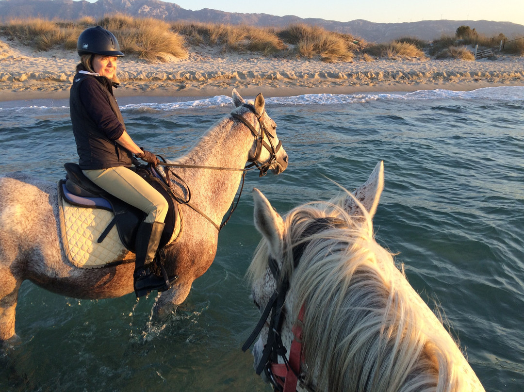 Erika's Horse Farm Kos-Marmari必去景点