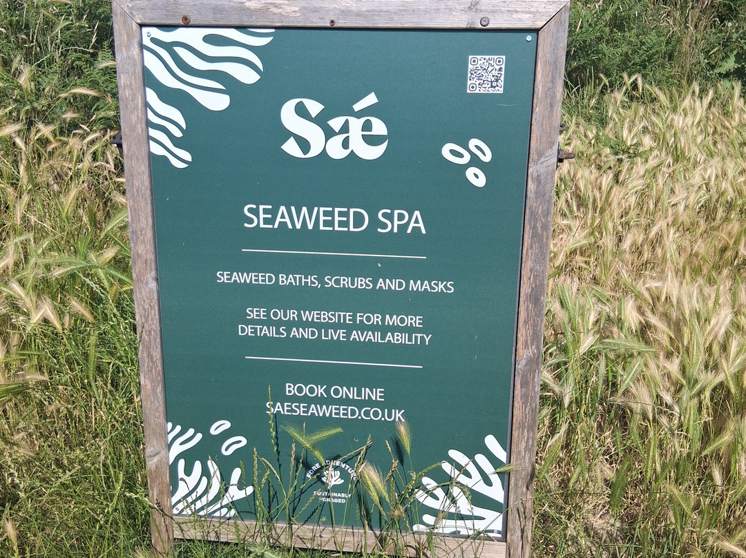 Sae Seaweed-Studland必去景点