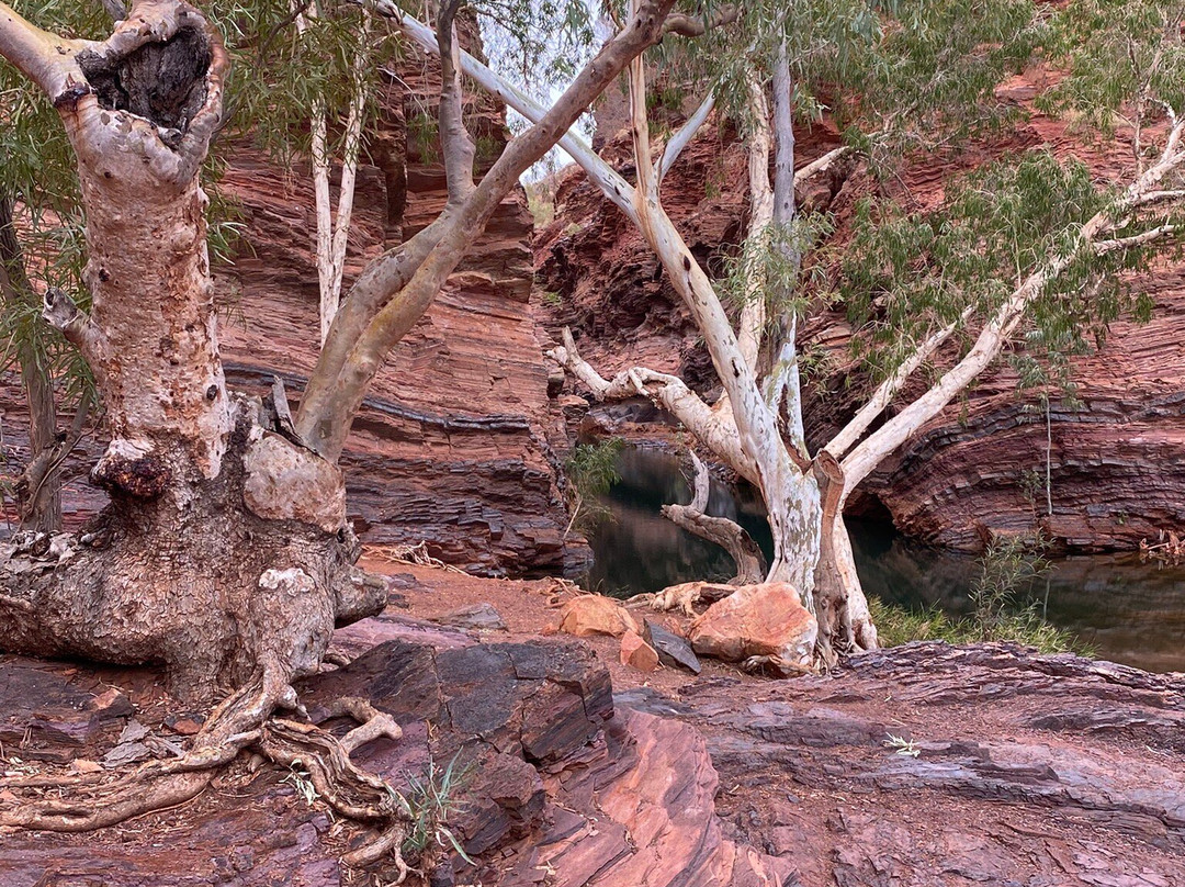 Hamersley Gorge-Karijini National Park必去景点