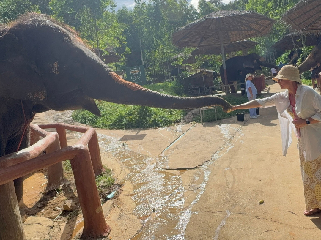 Phuket Elephant Care-奈通必去景点