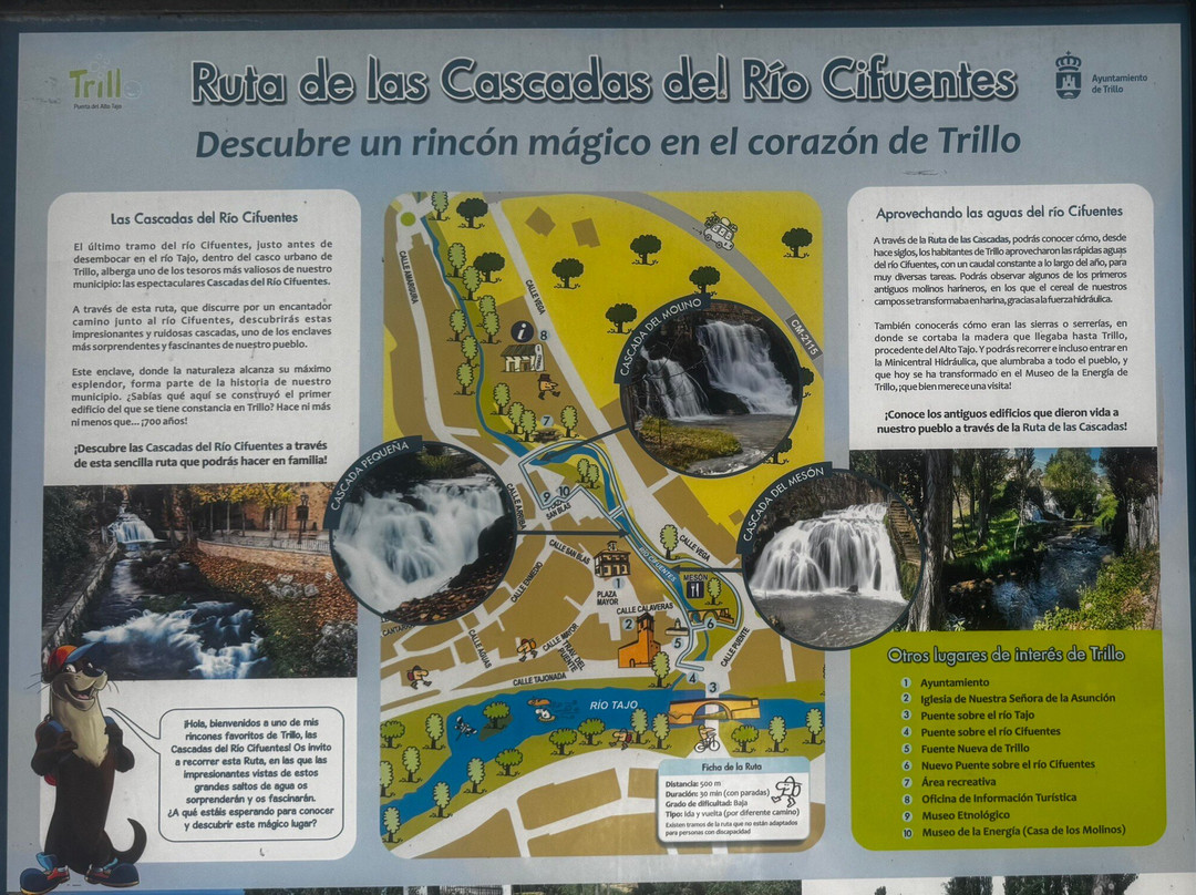 El Colvillo