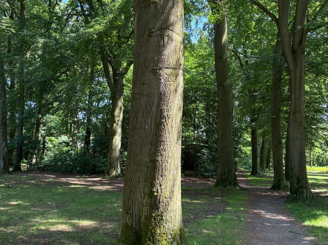 Parksociëteit Marialust-阿珀尔多伦必去景点