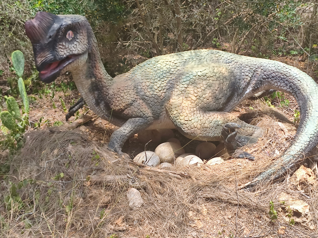 Dinosaurland-克里斯托港必去景点