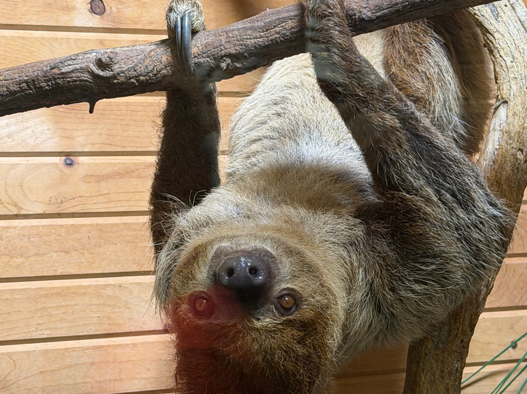 Safari Zoological Park-Caney必去景点