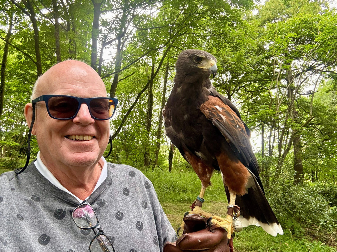 Hampshire Hawk Walks-Four Marks必去景点