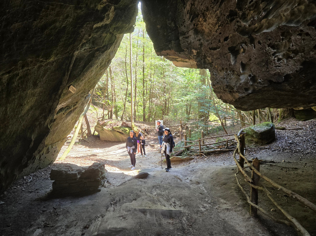 Dismals Canyon-Haleyville必去景点
