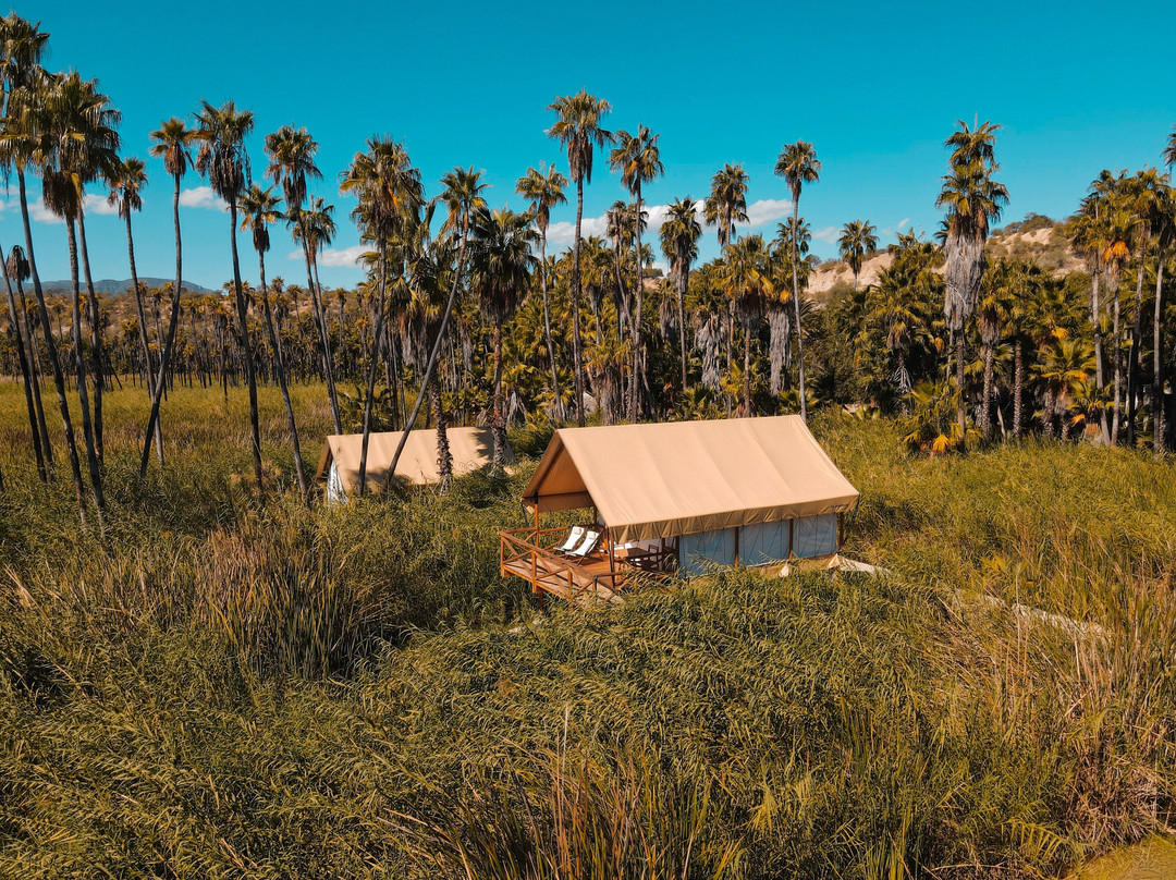 NEST Los Cabos