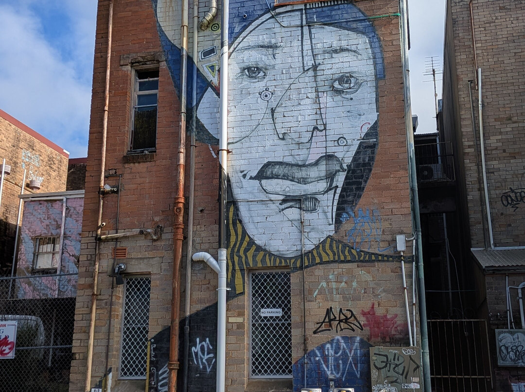 Street Art Walk - by Street Art Murals Australia-卡通巴必去景点