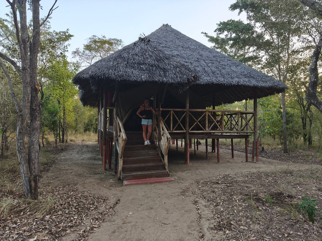 GoSmart Zanzibar Tours & Safari-Kiembi Samaki必去景点