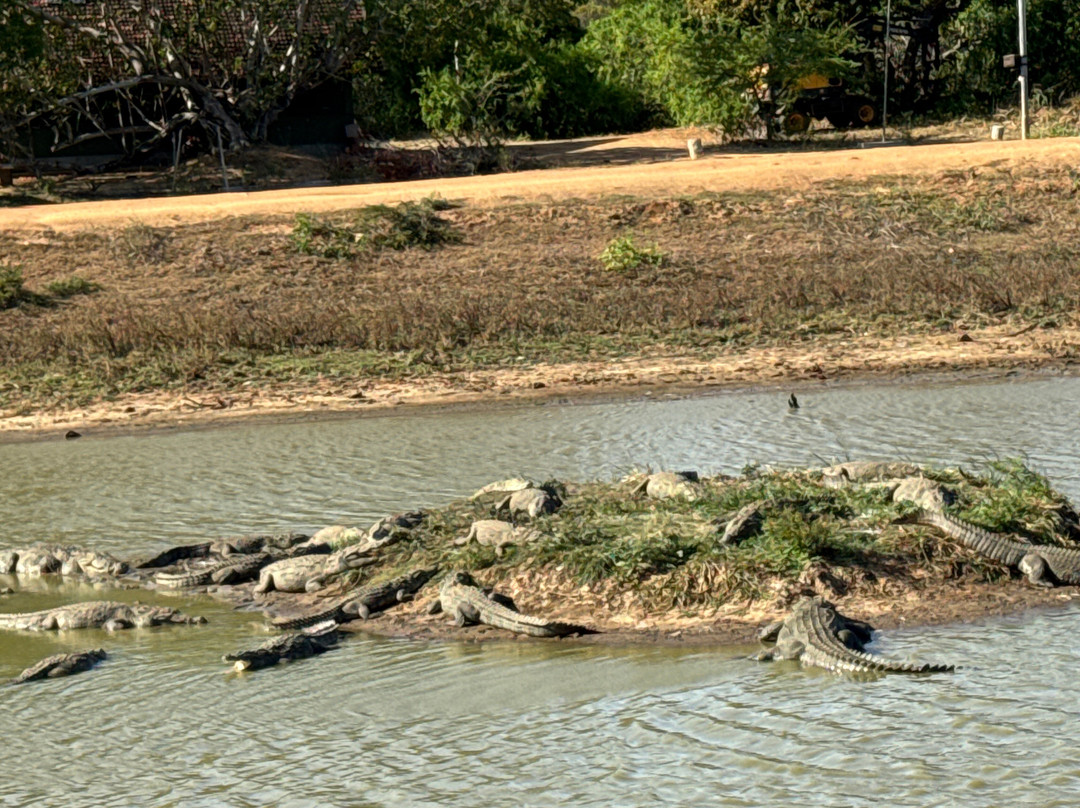 Freedom Safari Jeep Tours-蒂瑟默哈拉默必去景点