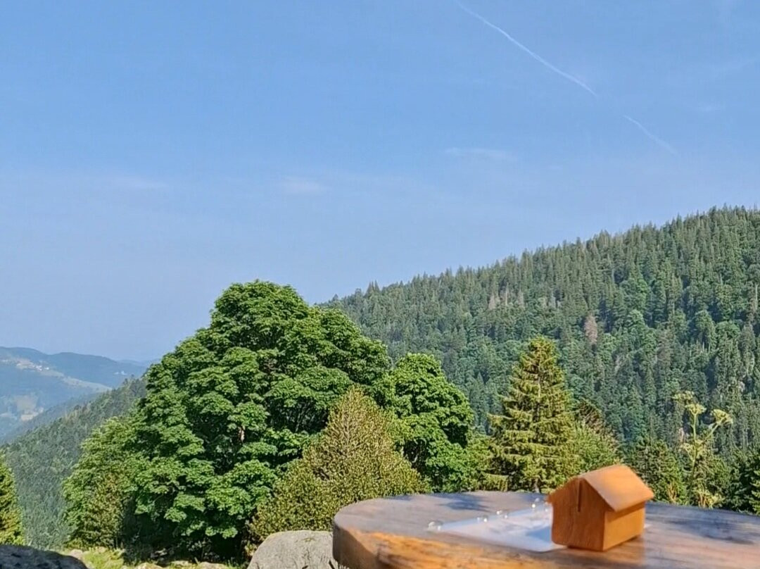 Réserve Naturelle Frankenthal-Missheimle-Stosswihr必去景点