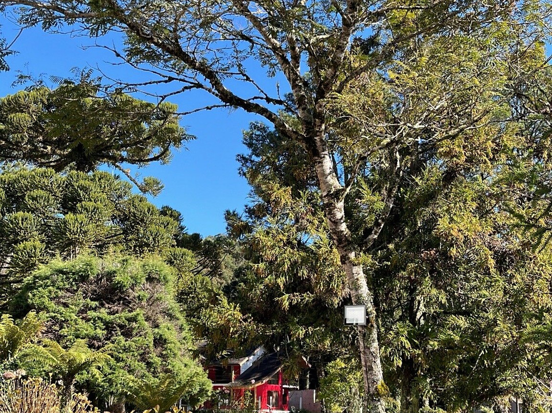 Lago Sao Bernardo-Sao Francisco de Paula必去景点