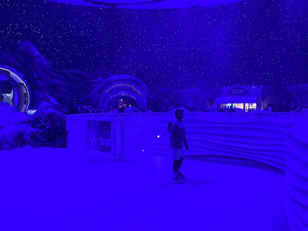 SeaWorld Yas Island Abu Dhabi-阿布扎比必去景点