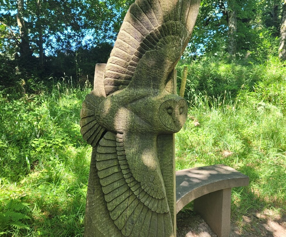 Colby Woodland Garden (National Trust)-Amroth必去景点