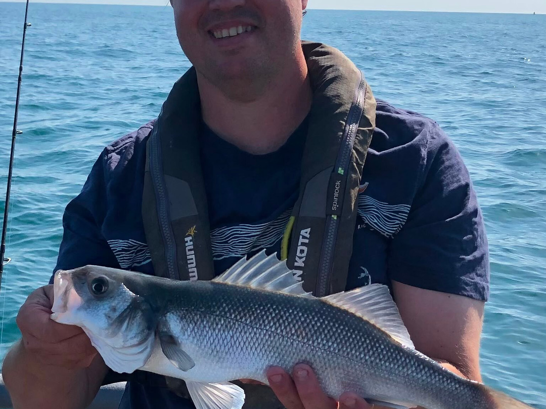 Awesome Fishing Wales-Dale必去景点