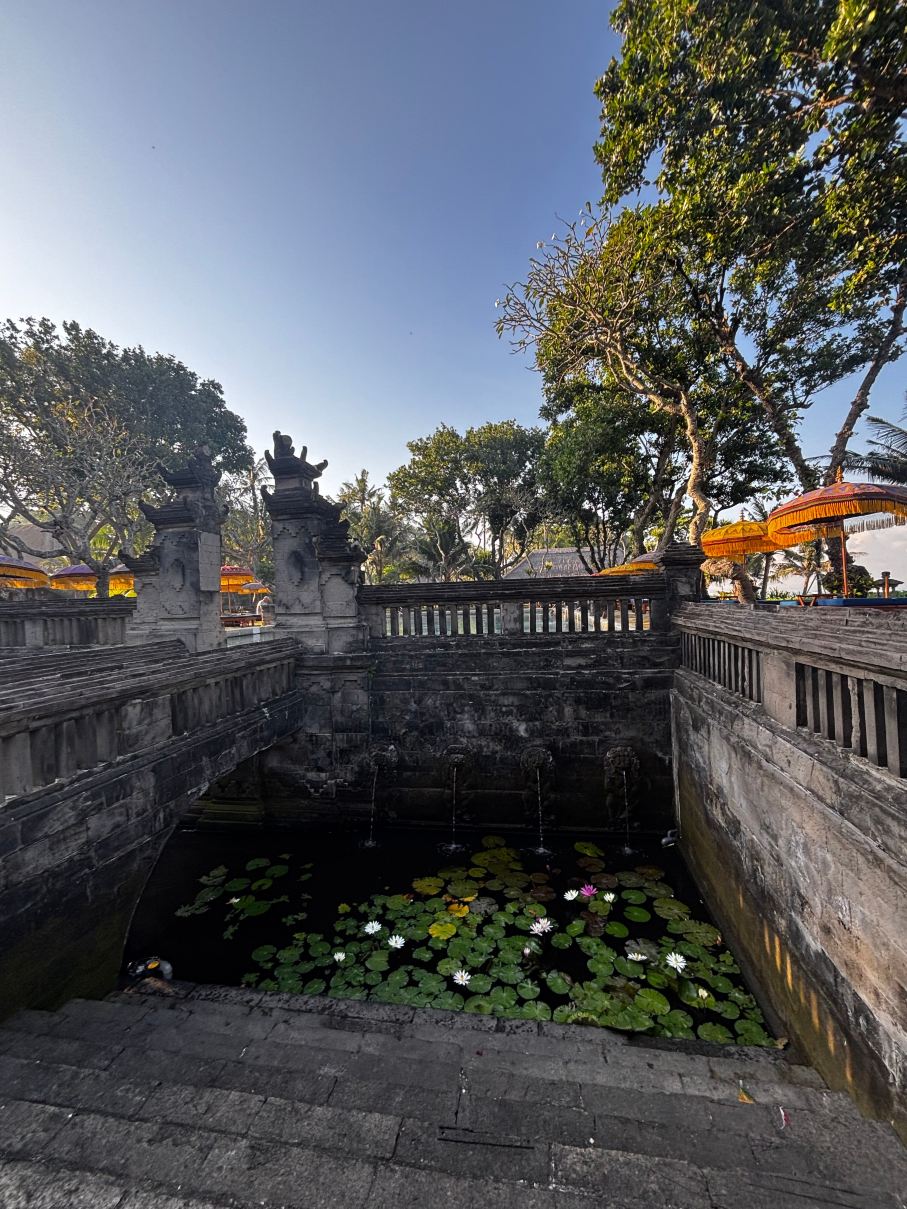 欧贝罗伊海滩度假村-旅行者