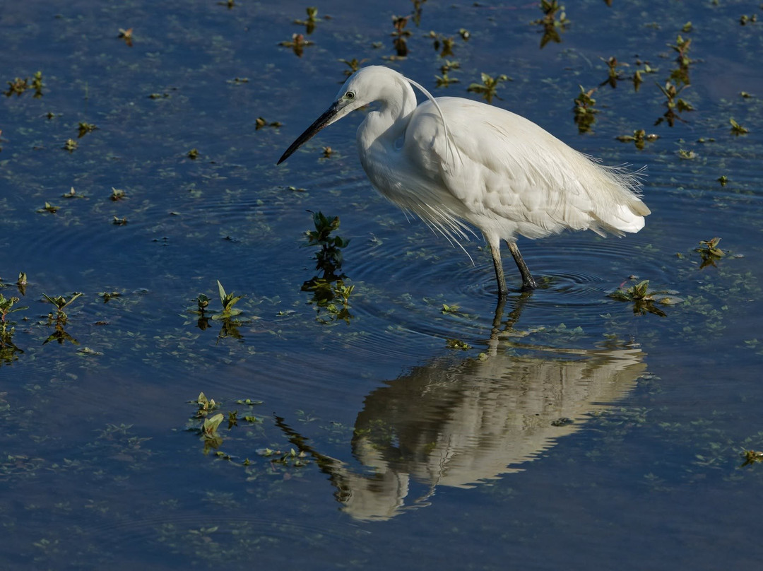 Domaine des Oiseaux-Mazeres必去景点
