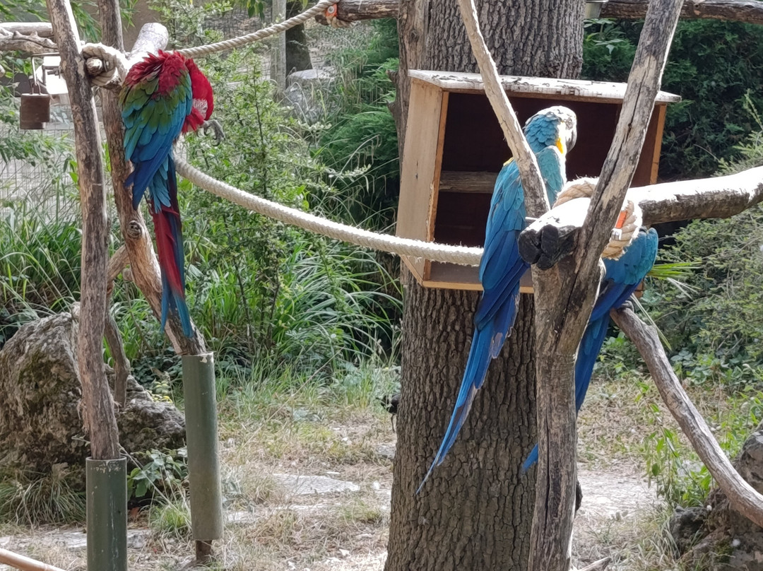 Zoo African Safari-Plaisance-du-Touch必去景点