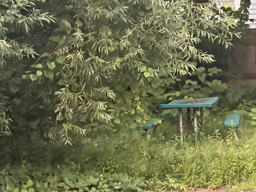 灯塔旅馆和套房主图