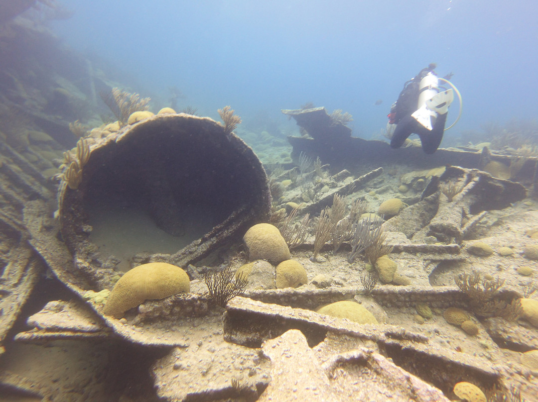 Blue Water Divers & Watersports-Sandys Parish必去景点