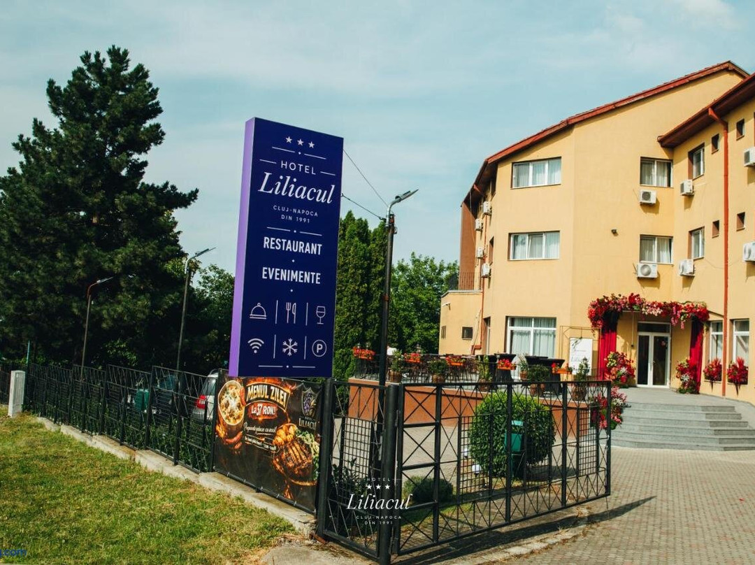 Feleacu酒店住宿-Hotel Liliacul