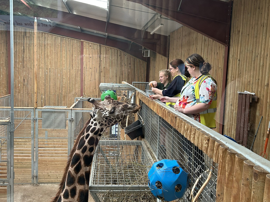 Wingham Wildlife Park-Wingham必去景点