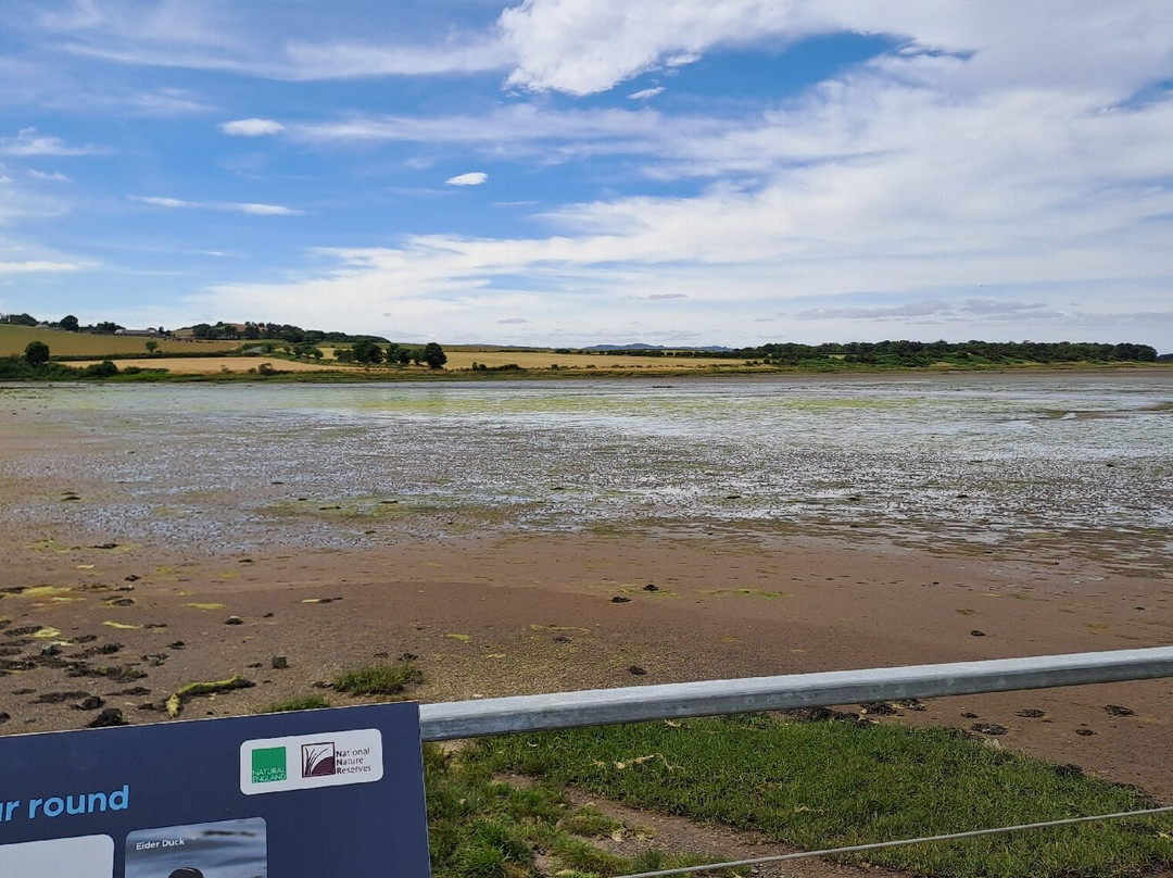 Budle Bay-Waren Mill必去景点