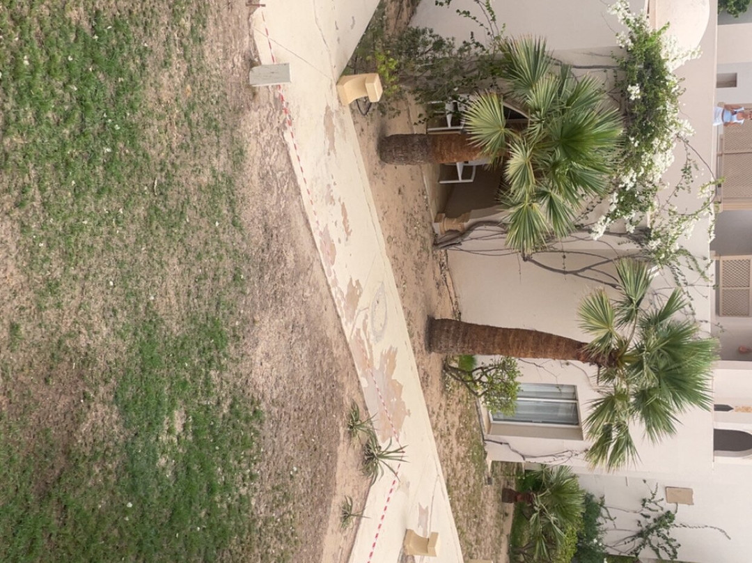 吉尔巴岛图伊蔚蓝棕榈海滩宫殿酒店 - 限成人主图