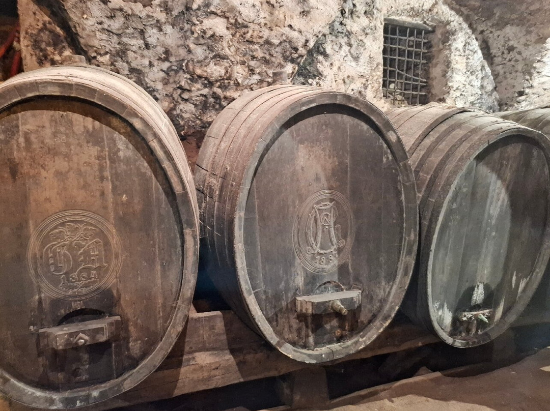 Cantina Barone a Prato dal 1885-Segonzano必去景点