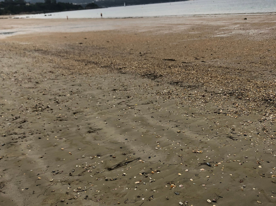 Playa de Seselle-Ares必去景点