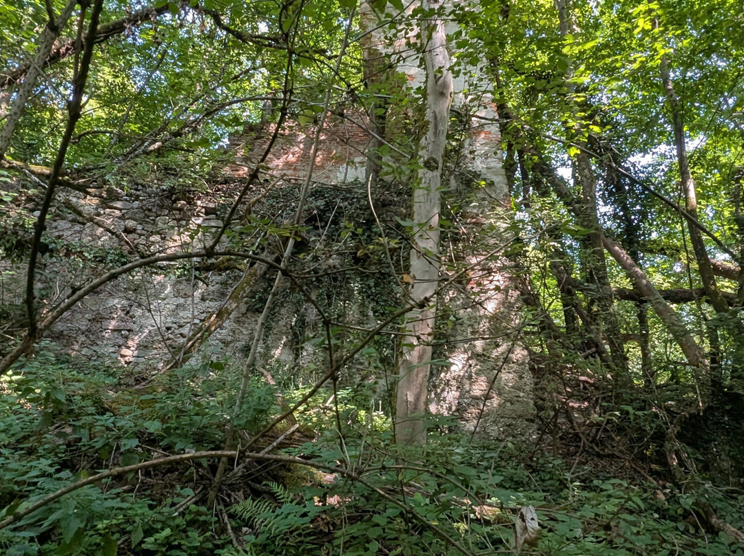 Burgruine Altwartenburg-Timelkam必去景点