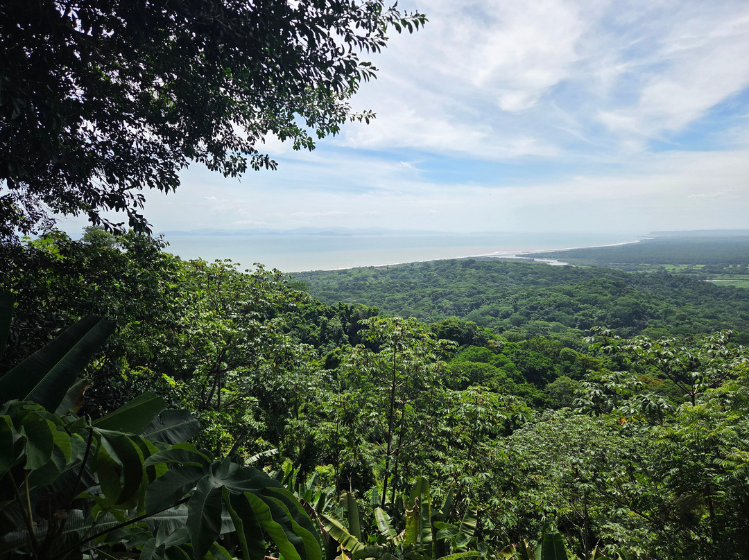 Tiquicia Tours-彭塔雷纳斯必去景点