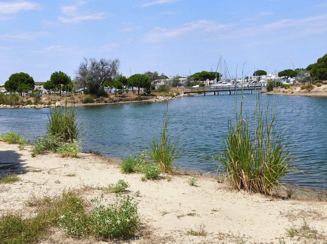 Camping Yelloh! Village Les Petits Camarguais主图