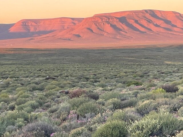 Tankwa Karoo National Park-Calvinia必去景点