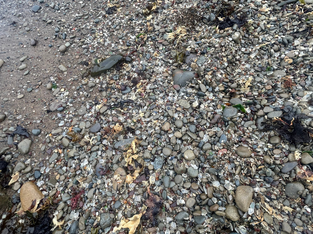 Glass Beach-布拉格堡必去景点