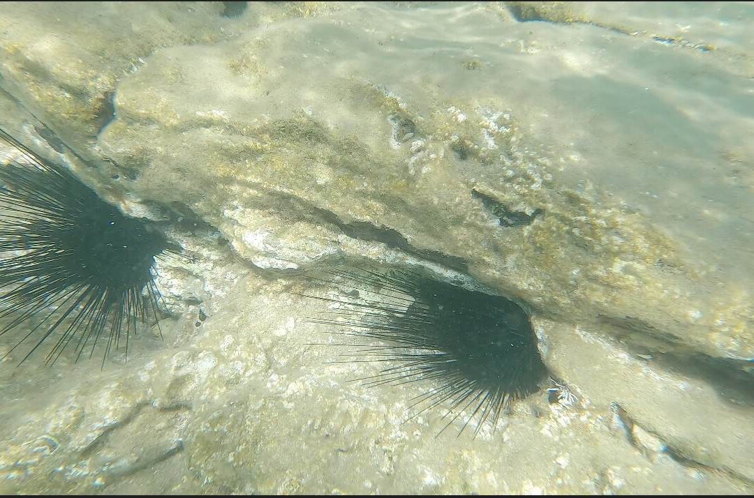 Karavostasi Beach-巴厘必去景点