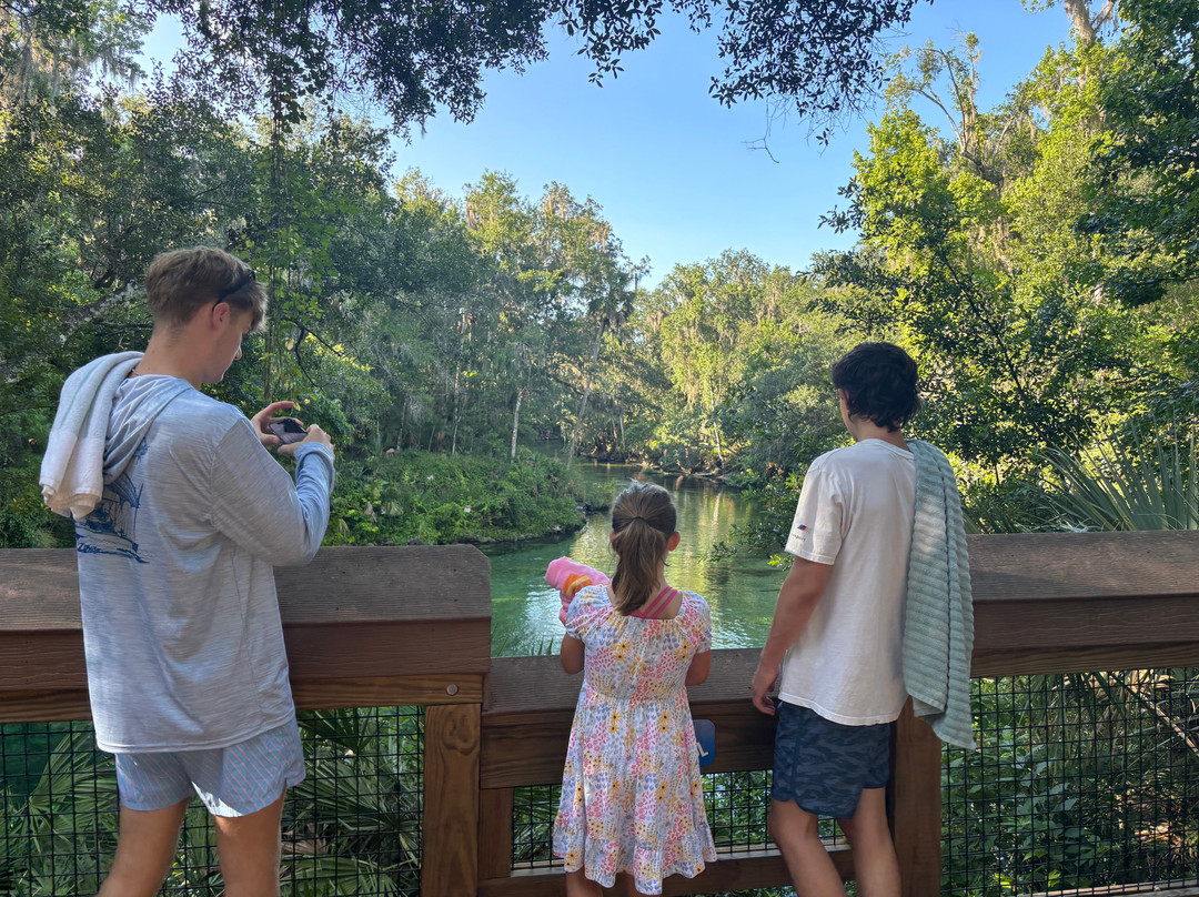 Blue Spring State Park-橙县必去景点