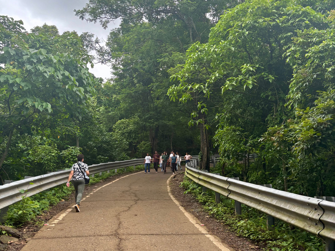 Kanheri Caves-孟买必去景点