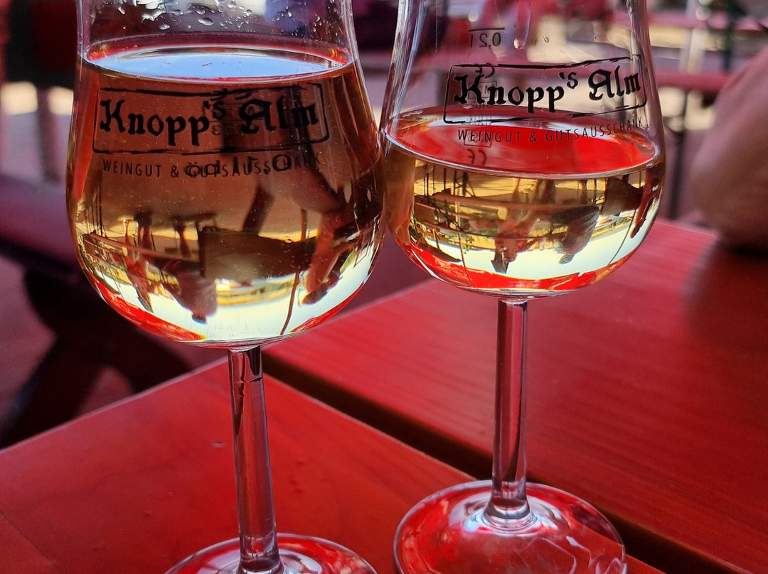 Weingut & Gutsausschank Knopp's Alm