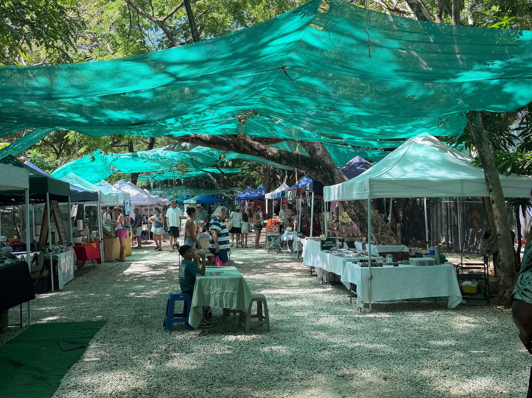 Tama Market-塔马林多必去景点
