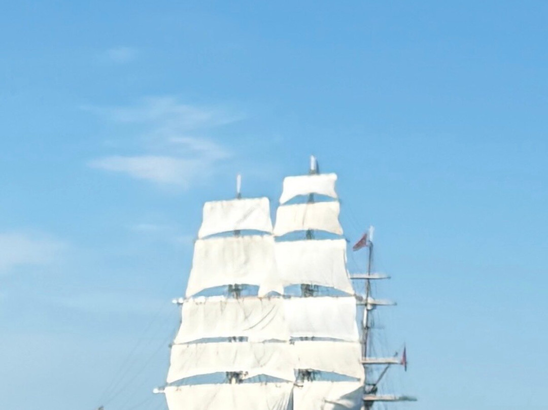 Island RIB Voyages-St Catherine's必去景点