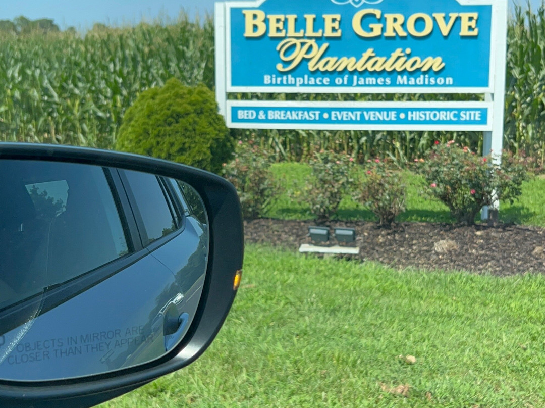 Belle Grove Plantation Bed and Breakfast主图