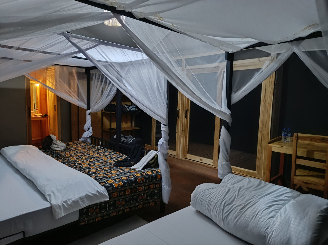 Glimpse of Africa Tented Camp-Ikoma必去景点