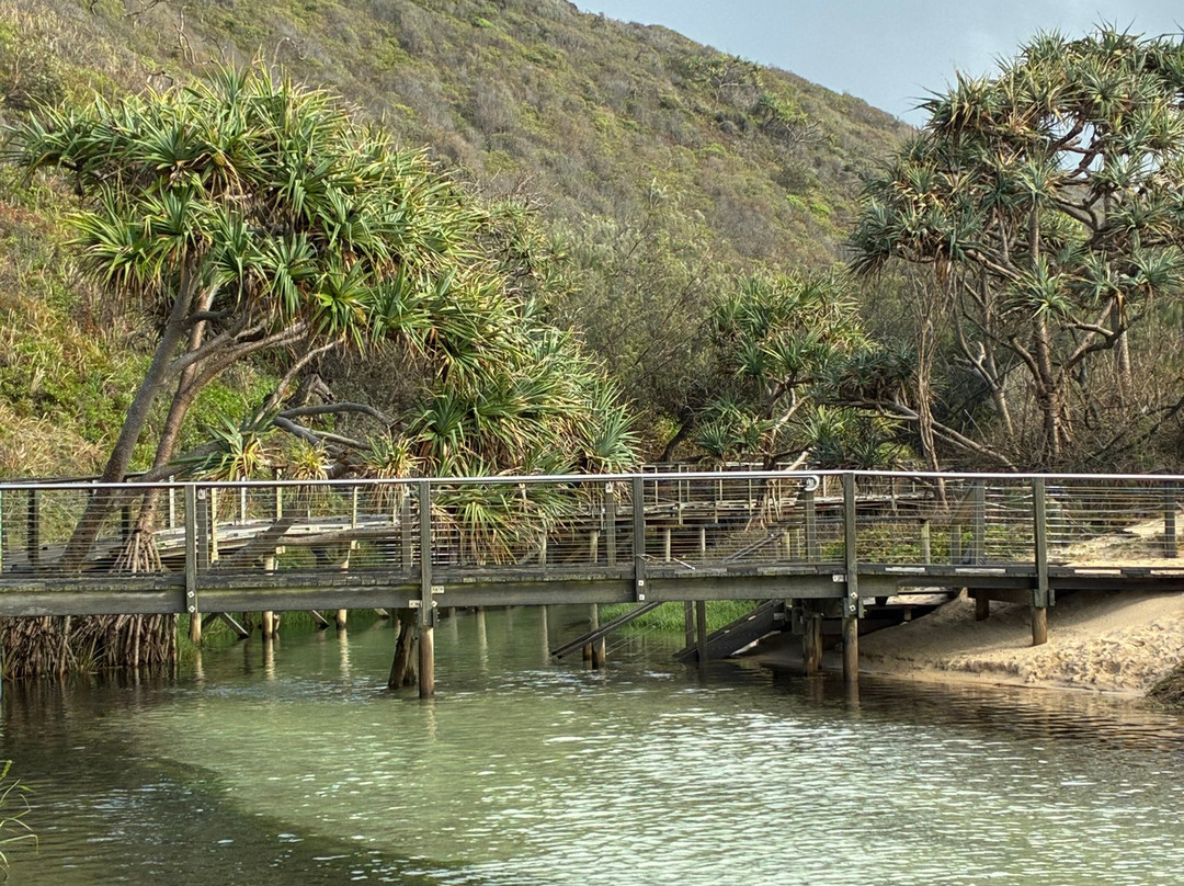 Drop Bear K'gari Fraser Island Adventures-弗雷泽岛必去景点